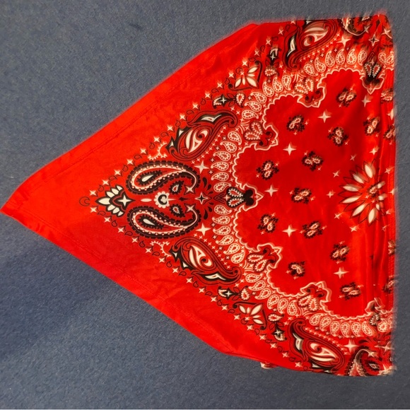 Bandana Tube Top - Picture 1 of 2